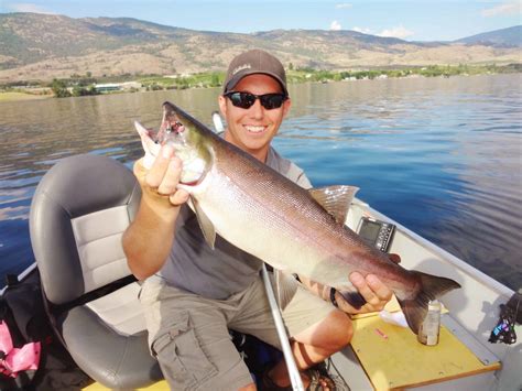 Osoyoos Sockeye Fishing - August 2013 - BC Fishn