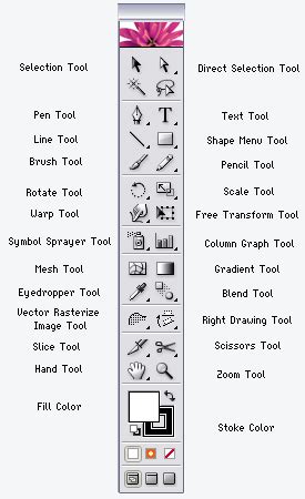 The Basics Of Illustrator Adobe Illustrator