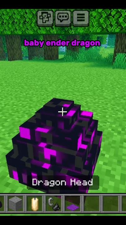 minecraft baby ender dragon shorts minecraft gaming youtube