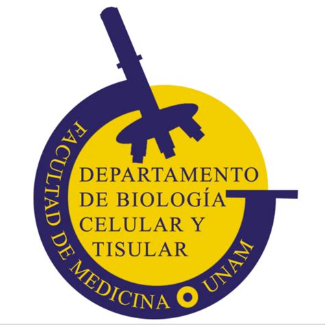 Temas De Histolog A Departamento De Biolog A Celular Y Tisular