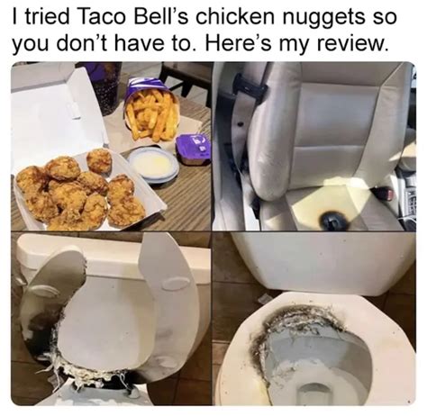 Funny Pic Thread No Swearing No Sex No Complaining Page ARRMA RC Forum