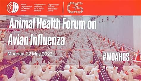 Challenges For The Global Control Of Highly Pathogenic Avian Influenza World Veterinary