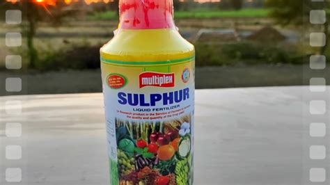 Agriculture Sulphur Liquid Fertilizer At Rs 100 Litre In New Delhi ID