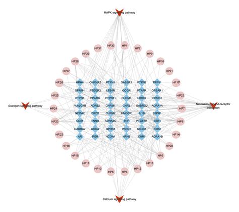 Compound Target Pathway Network Download Scientific Diagram