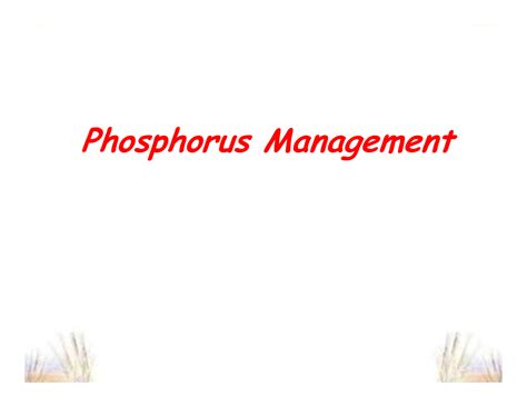 Nmrg Ppt Phosphorus Management Phosphorus Management Nutrients Of