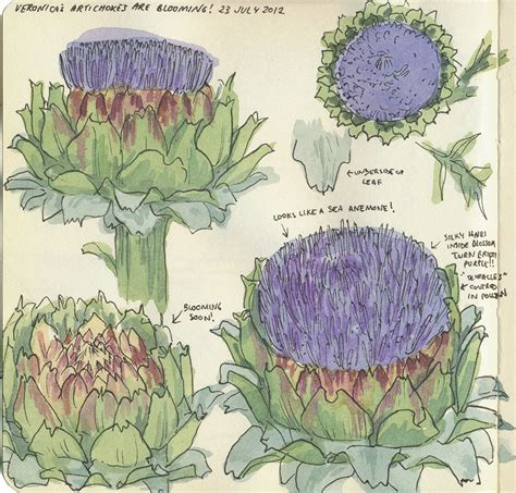 Okey-dokey, artichokey – Drawn the Road Again