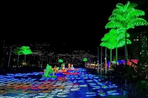 Tour Alumbrados y Bus Navideño Rumbero Visitar Medellín