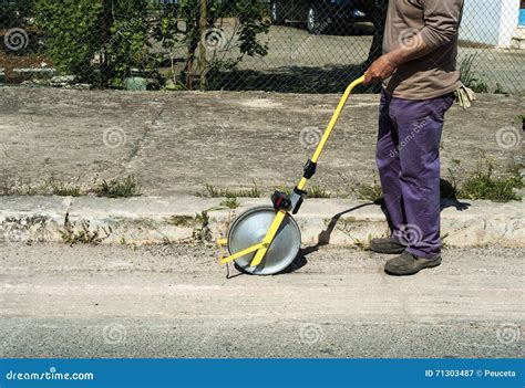 Surveyor With Measuring Wheel Odometer Stock Photo Image 71303487