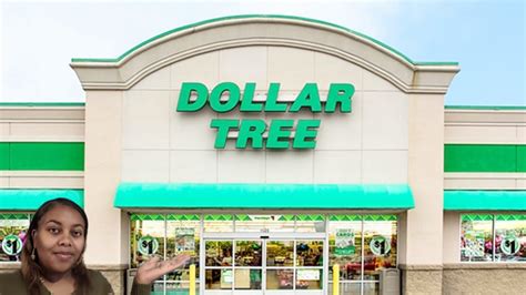 Come With Me To Dollar Tree Haul Youtube