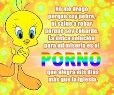 12 ideas de Piolin memes sarcásticos memes divertidos frases piolín