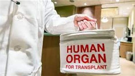 Organ Donation Organ Donation Was Very Less During The Corona Epidemic