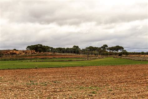 Landscape With Cloudy Sky And Farm Field In Castilla La Mancha Stock