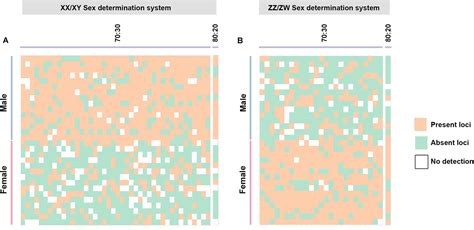 Frontiers An Investigation Of Zz Zw And Xx Xy Sex Determination