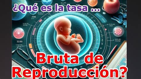 Qu Es La Tasa Bruta De Reproducci N Youtube