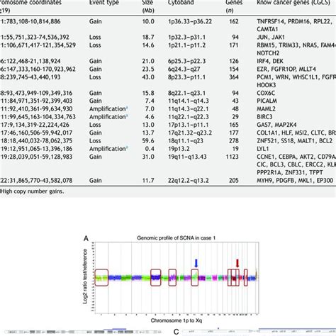 Somatic Copy Number Alterations Detected By Array Comparative Genomic