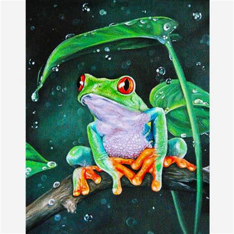 Diamond Painting 5D Full Drill Frog Home Decor DIY Art Crafts In