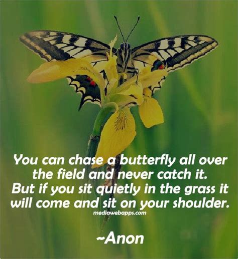 Quotes About Butterflies And Success Aden