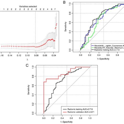 Radiomic Feature Selection And Development Of The Radiomic Prediction