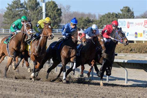 Fonner Park Horse Races 7 8 And Bold Accent Stakes Outtakes From