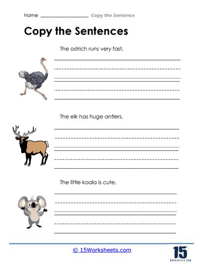 Copy The Sentence Worksheets 15