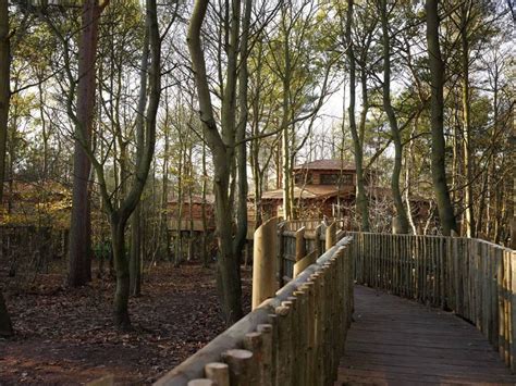 Center Parcs, Treehouses