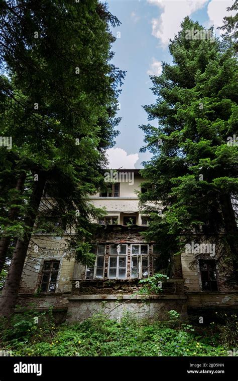 Abandoned house in the forest Stock Photo - Alamy