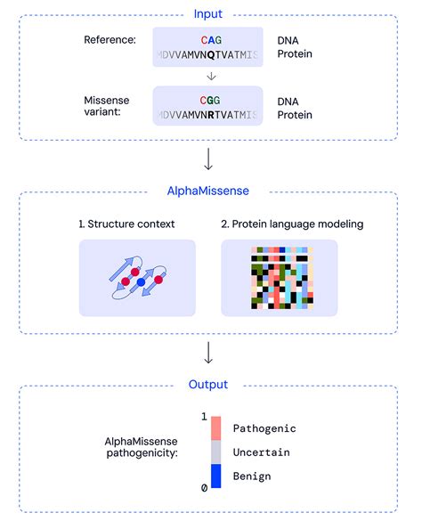 KI entschlüsselt unsere Mutationen AlphaMissense prognostiziert