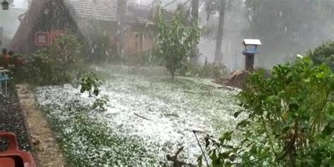 Vídeos Chuva de granizo muda a paisagem em Campo Alegre Diário da