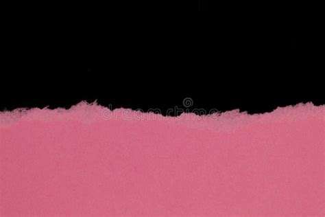 Pink Ripped Paper Isolated On Black Background With Copy Space Stock