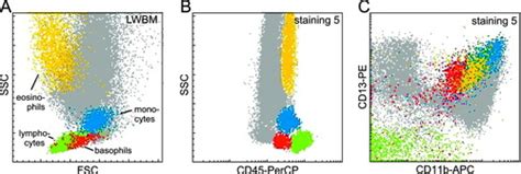 Immunophenotypic Differentiation Patterns Of Normal Hematopoiesis In