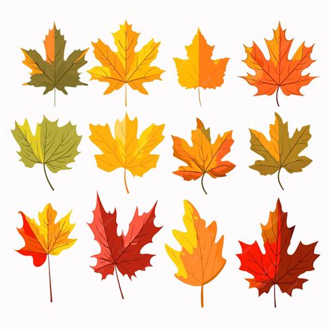 Premium Vector Autumn Leaves Set Isolated Vector Illustration