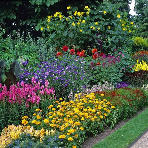 24 Perennial Planting Combinations That Look Stunning Together Artofit