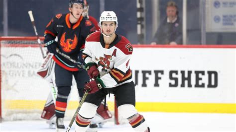 Tucson Roadrunners Road Ahead Closing Out The Calendar Year