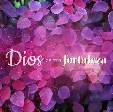 100 Imágenes Cristianas De Mi Confianza Esta Puesta En Dios ️