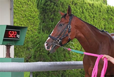 鞍上が決定！？ 恐妻家キー坊の一口馬主日記