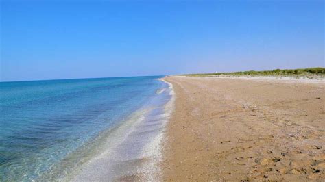 Планета Земля и Человек: В Каспийском море обнаружили клещей: древних ...