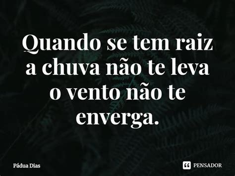 ⁠quando Se Tem Raiz A Chuva Não Te Pádua Dias Pensador