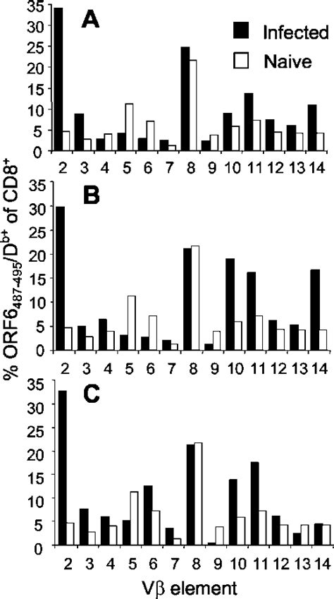 Time Course Analysis Of The T Cell Reactivity During Hv68 Infection In