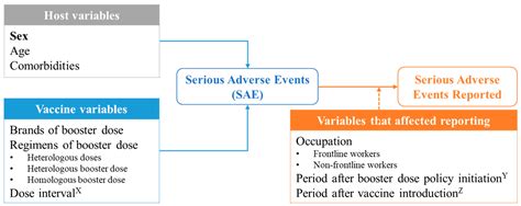 Vaccines Free Full Text Sex Differences In Serious Adverse Events