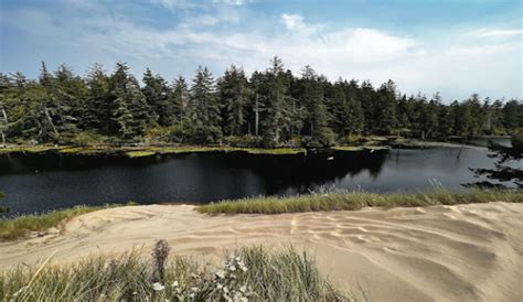 coos bay sand dunes top  roading destination  oregon