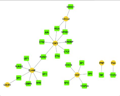 Transcription Factor Mediated Regulatory Network Download