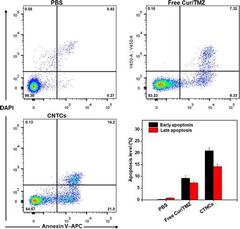 Apoptosis Level In HCT 116 Cells After Treat With Free Cur TMZ And