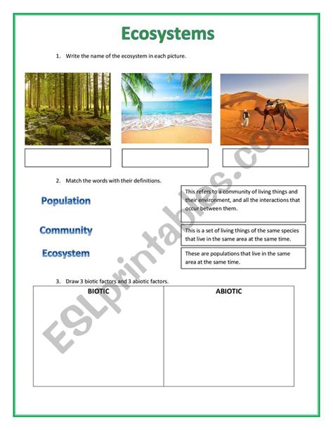 Ecosystems Esl Worksheet By Selma Karamy