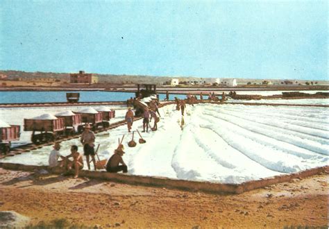 From An Old Postcard Formentera Salt Railway Alessandro Albe Flickr