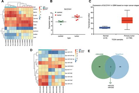 Microarray analysis for differentially expressed genes and regulatory ...