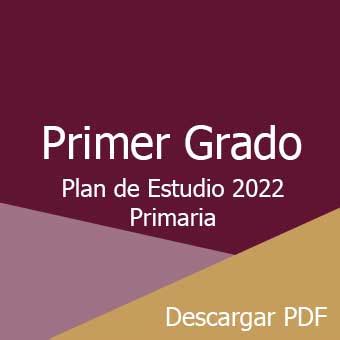 Plan De Estudio Primer Grado De Primaria Pdf