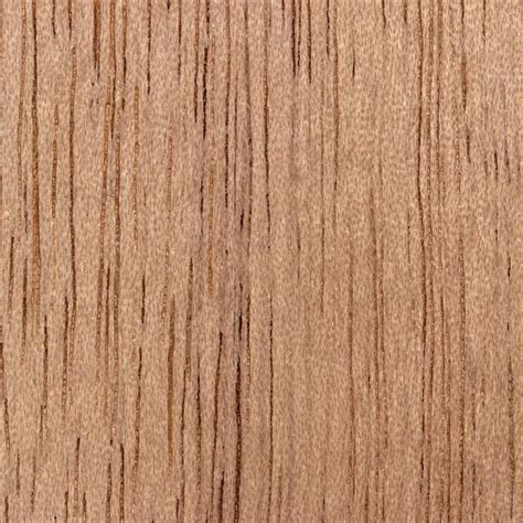 domestic wood walnut   square section picture anthillart