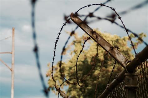 Premium Photo Low Angle View Of Barbed Wire Fence Against Sky