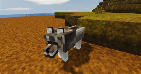 Wolf Variety Minecraft Texture Pack