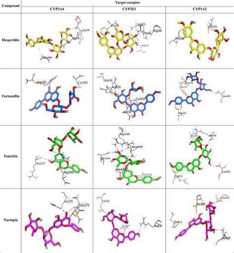 Taming Food–Drug Interaction Risk: Potential Inhibitory Effects of ...